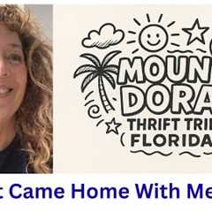 Florida Thrifting: Charity Shop to Goodwill Mount Dora