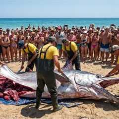 Deep Sea Fishing in a Storm: The Longline Swordfish Haul That Broke the Crew