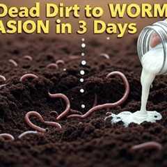 I Poured This Into My Dead Garden… and Thousands of Worms Showed Up in 3 Days!