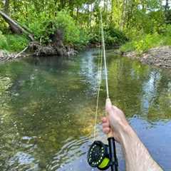 My FIRST Time FLY Fishing! (TROUT Fishing)