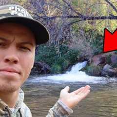 I Found A Honey Hole In The Middle Of The Forest...