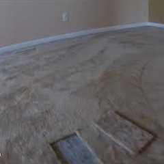 Watch How We Saved Thousands Of Dollars On Carpet Replacement (Carpet Repairs)