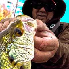Simple Worm Fishing! How To Catch Loads Of Fish For Dinner Easy With A Simple Rig!