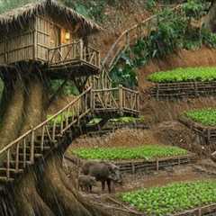 Solo Survival in the Rainforest | Building a Tree Shelter from Natural Wood & Finding Food