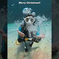 I hope everyone’s scuba Christmas wish list came true! 🐠
