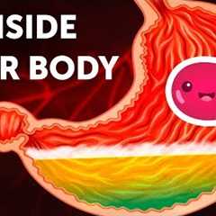A Journey Inside Your Body