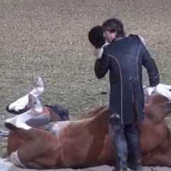 Funniest Horse Act Ever! Tommie Turvey and Pokerjoe! - Night of the Horse 2015 - #DMNHS