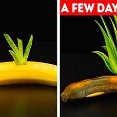 27 GARDENING HACKS YOU'LL WANT TO KNOW