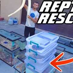 MASSIVE REPTILE RESCUE!! WHAT did we SAVE?!