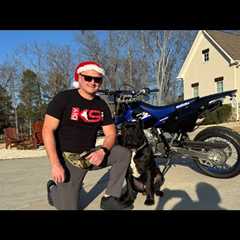 Live Christmas Dog Training!