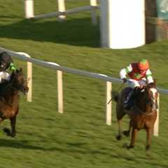 Idaho Sun upstages Mydaddypaddy to land Formby Novices' Hurdle | Racing TV