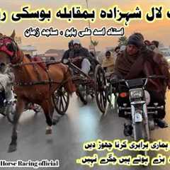 King Lal Shehzada Vs Boski Horse Race 27 December 2025 || Tanga Race || #horse #trending #viral 