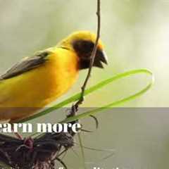 100 days of mental health hacks #89 #Shorts