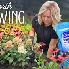 7 Garden Truths You Only Learn Over Time