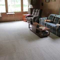 LifeProof Carpet  from Home Depot Review, Install Process