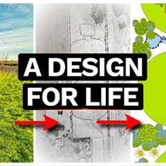 My Garden Design Process - from Ideas & Inspiration to New Garden Plans!