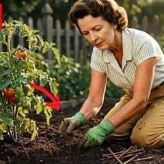 35 Forgotten Gardening Hacks from Grandma That Have Disappeared!