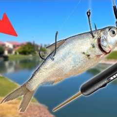 Is This Live Bait Fishing Gadget a Scam? (Surprising)
