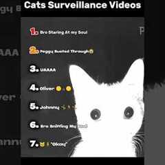 Ranking Best Cats Surveillance Videos