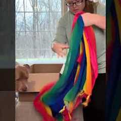 12/28 Let’s see what’s in these two light Amazon Mystery Boxes to open on this snowy day