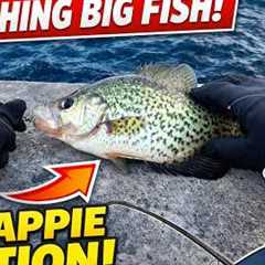 I Found Fish in Freezing Temps… Winter Fishing in Boston