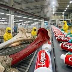 Inside the Toothpaste Factory — From Animal Bones to Toothpaste | Full Process