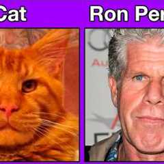 Animals That Are Perfect Celebrity Lookalikes