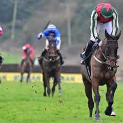 Final Demand sparkles in Faugheen Novice Chase at Limerick | Racing TV