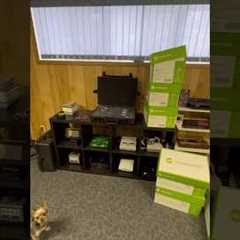 My Game Room Is Coming Together 👀 (Part 1)