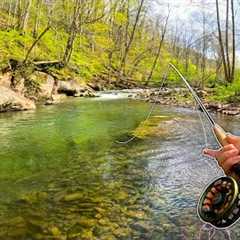 3 Days of INCREDIBLE FLY FISHING! (BIG Brown, brook, and Rainbow Trout!)
