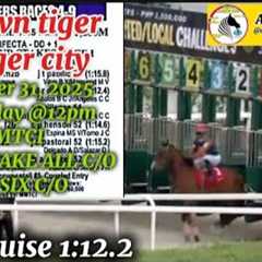MMTCI ARNEL RACING TIPS WEDNESDAY @12:PM DECEMBER 31,2025@metroturfracingtv WTC C/O - PICK SIX C/O