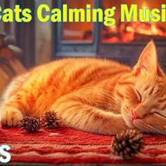 12 Hours of Calming Music for Cats💖Stress-Reducing Music for Cats💖Music to Help Cats Reduce..