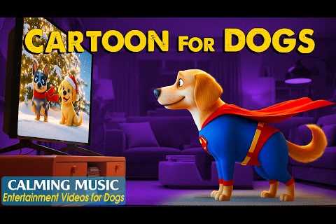Cartoon for Dogs: Relaxing Dog TV to Keep Your Dog Happy While You’re Away – Soothing Music for Dogs