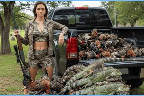 Monster Lizard Hunting – Insane Moments Hunter Takes Down Invasive Giant Iguanas with Perfect Shots