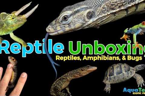 Reptile Unboxing‼️