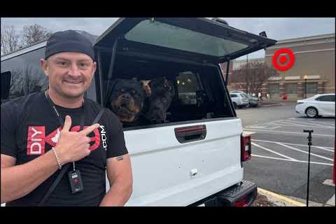 Live Dog Training in Public Q&A