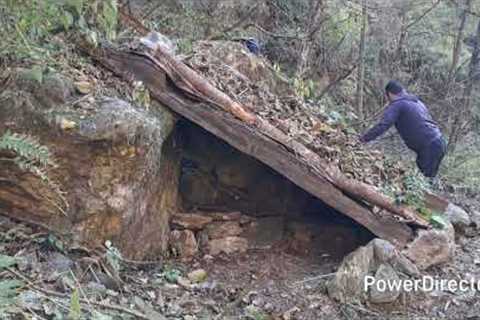 SOLO Bushcraft: Building a Survival Shelter in the Wild! (Deep Forest Camping)