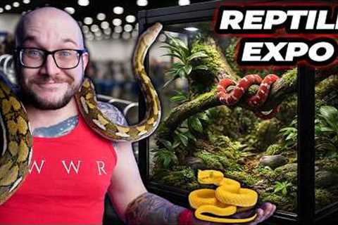 NEW Species Discovered at INSANE Reptile Expo!