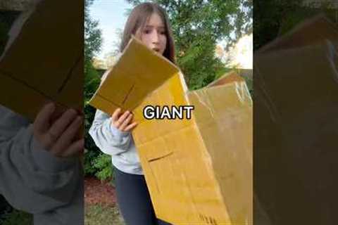 Unboxing a GIANT MYSTERY BOX! 😱😳📦 *$100 haul*