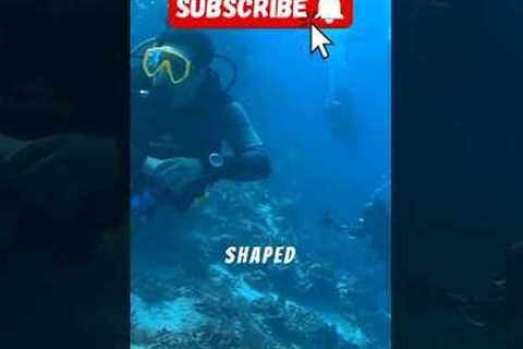 Divers Found a Staircase Under the Ocean…