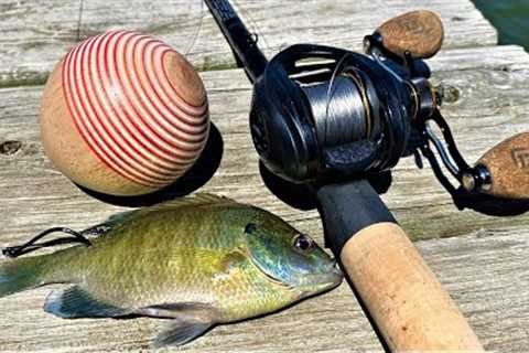 Huge LiveBait Bobber | One Day Build to Catch