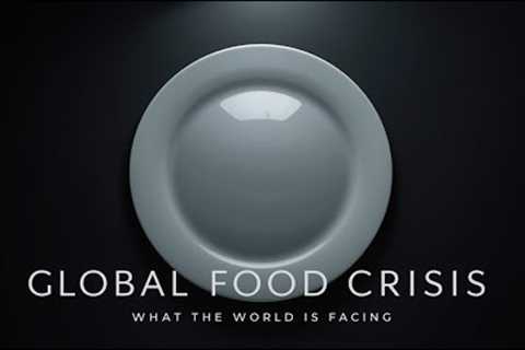 Global Food Crisis – What the World Is Facing