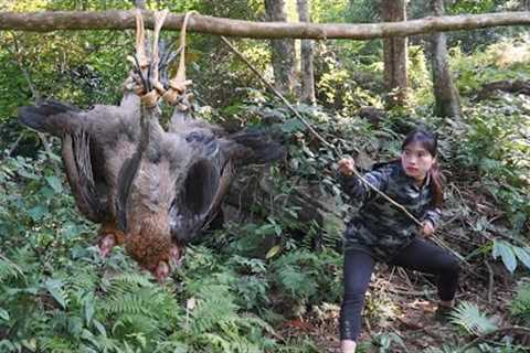 Survival Skills: Building a Natural Trap to Capture Wild Forest Chickens, survival alone