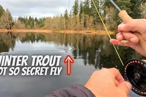 The BEST Fly for Fly Fishing Trout in Winter