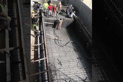 Backyard Landscaping &amp; Infinity Swimming Pool Construction - Jumeirah, Dubai