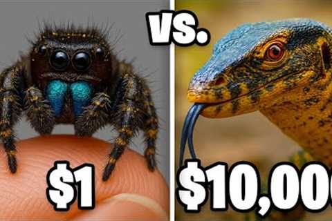 $1 vs $10,000 Exotic Pet
