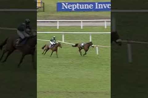 Dramatic finish to this race!