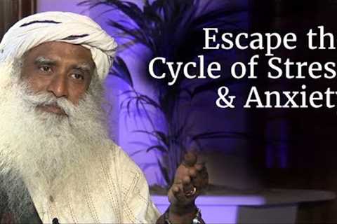 How to Escape the Cycle of Stress, Anxiety and Misery? - Sadhguru