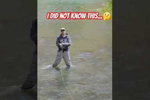 I Didn't Know This Fly Fishing Tip! 😀😄😁 #fishing #flyfishing #tips