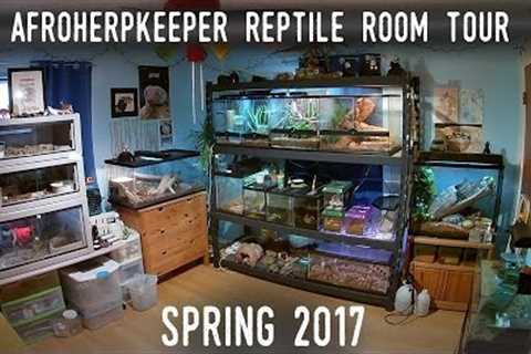 Reptile Room Tour Spring 2017 | FINALLY Back With 24 SPECIES!